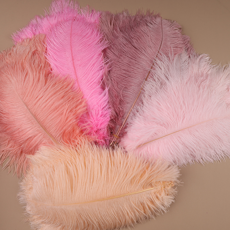 10pcs Ostrich Feathers for Cra - Feather Trim Marabou のレビューと価格