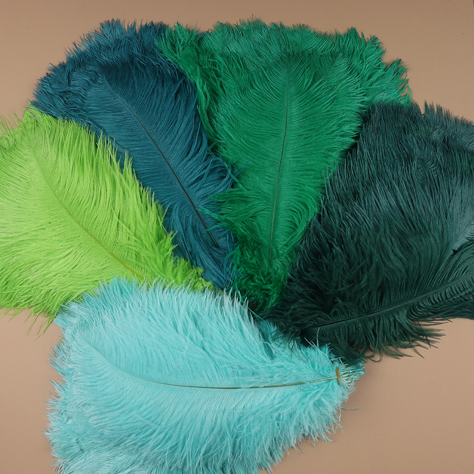 10pcs Ostrich Feathers for Cra - Feather Trim Marabou のレビューと価格