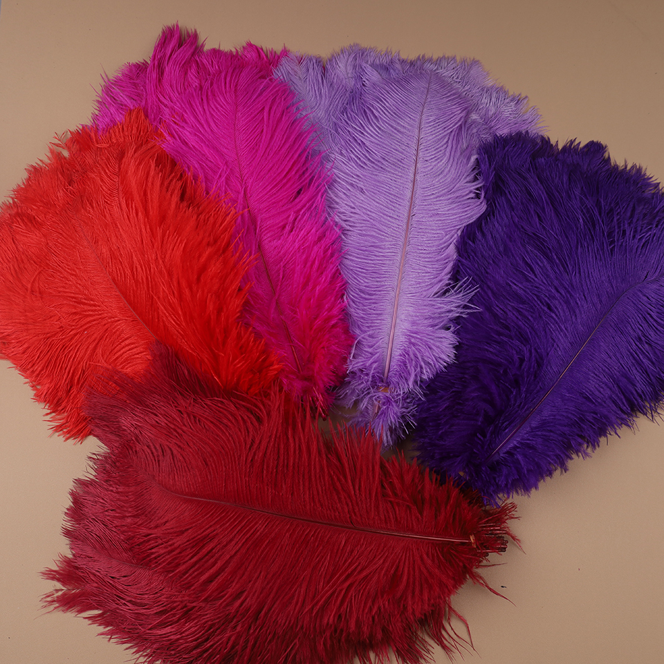 10pcs Ostrich Feathers for Cra - Feather Trim Marabou のレビューと価格
